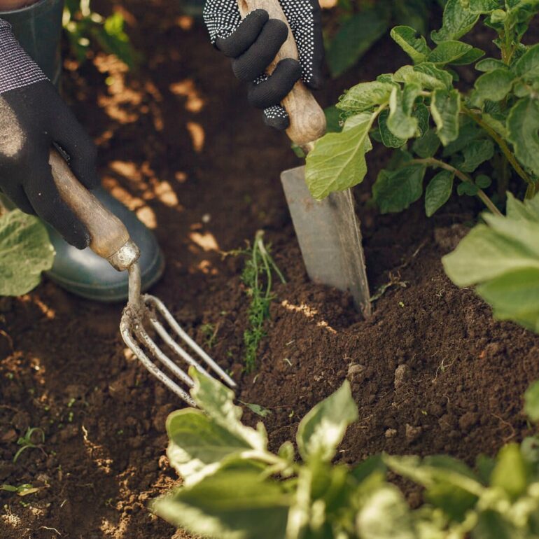 Enrich the soil