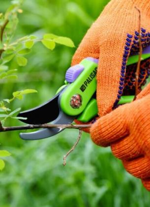 Green Technology