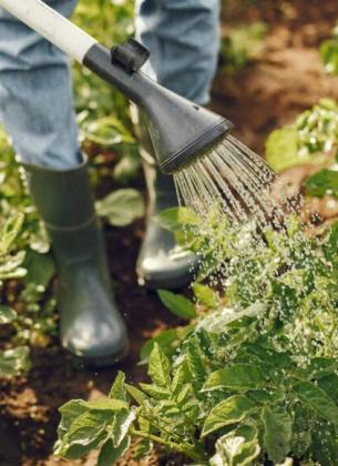 Watering Garden